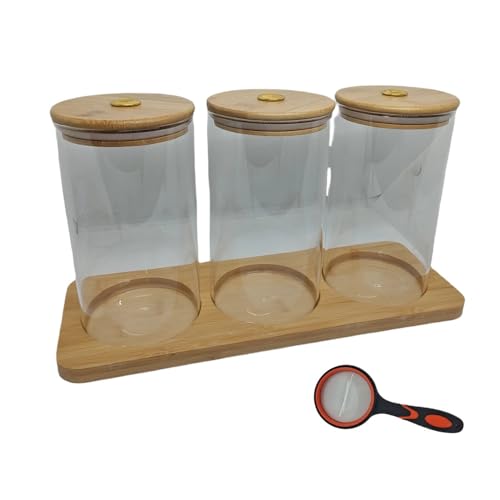 Science Education Worm Compost Experiment bin, Waste Decomposition into composting kit, ant Farming Plant