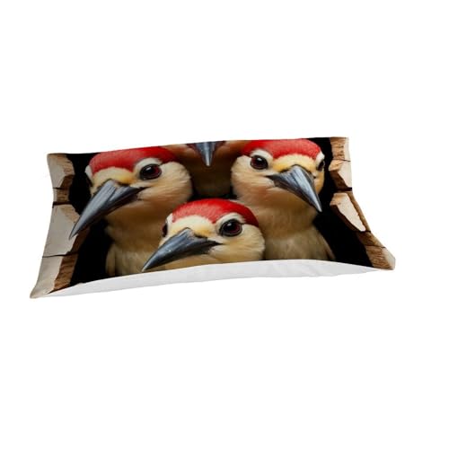 Housse de couette single woodpecker lit enfant 135x200cm