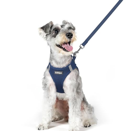 Image of rabbitgoo Dog Harness Medium Sized and Leash Set, Step-in Puppy Pet Vest