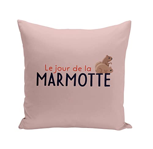 Fabulous Coussin 40x40 cm Le Jour de la Marmotte Sieste Humour