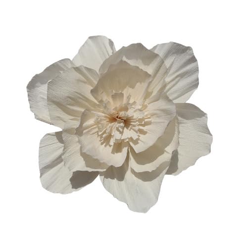 Namzi 10Pcs 12in Crepe Paper Flowers Decoration for Wall, Flowers for Wedding Decor,Flower Backdrop Decor,Baby Shower,Birthday Party,Photo Backdrop,Archway Decor, Nursery Wall Decor?Beige