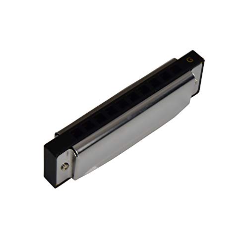 Image of ARCTIC AR-HA-10G G Scale 10-hole /20 tones Premium Harmonica /Mouth Organ with Case and Cloth for Professional and Amateurs. Ultra premium finish and durable built