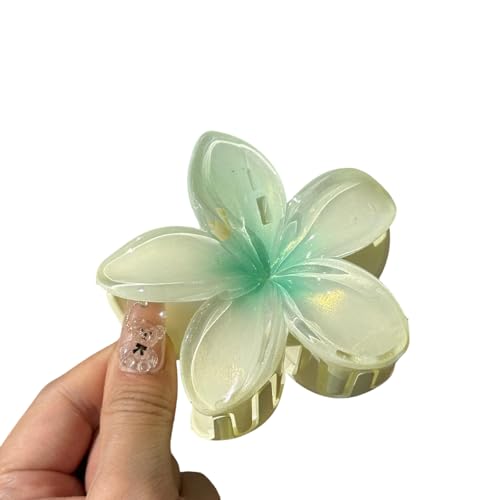 Miffia 5pbN wAANZT[ wAs {     傫 ݂ǂ wANbv wAs  nEB   e (Fy5pbNz)