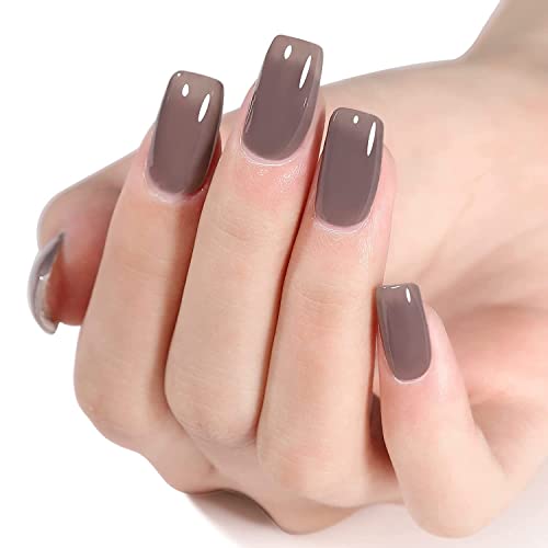 Senvenski Jelly Black Gel Nail Polish Sheer Clear Grey Gel Polish Transparent Crystal Gel Polish Kit Art Varnish Gift Set Uv Led (Cs2-008) #TOP4