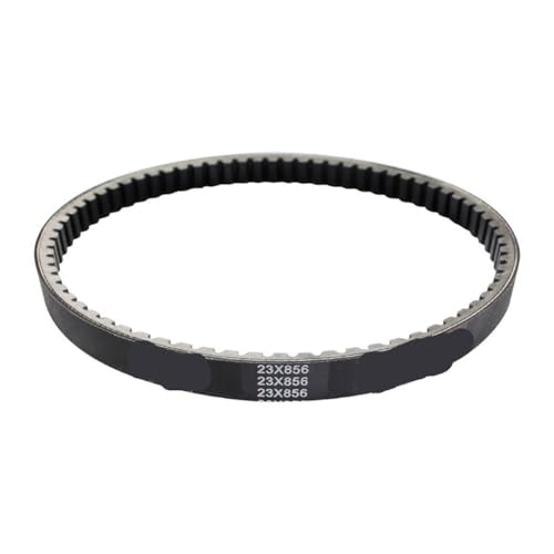 Courroie de transmission et poulie pour moto XY260T-4 Ec et moteurs VO 250cc à 300cc