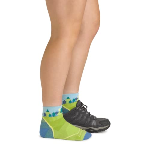 Darn Tough Jr. Quest 1/4 Lightweight with Cushion Sock (Style 3041) -2