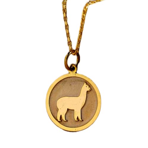 Colgante de alpaca de plata para lucir en eventos diarios con vestidos informales