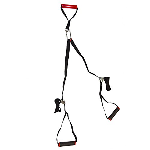 Lifeline Jungle Gym Suspension Trainer