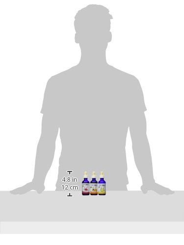 Water Enhancer-Honest H2O-From Stevia Select-2 Oz Water Flavoring-3 Pack Lemonade, Raspberry,Orange Passion-Lightly Sweetened Stevia Water Enhancer-Sugar Free Drink-0 Calories!