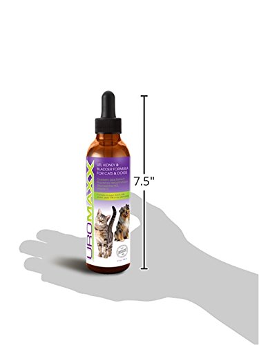 Uromaxx Urinary Tract, Kidney & Bladder Formula For Cats And Dogs, 6 Oz Bottle #TOP5