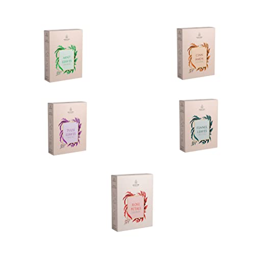 Image of Nature's Park Herbal Infusions Combo Rose Petals+Cinnamon+Mint Leaves +Tulsi Leaves +Fennel Seeds (5x5 Pyramid Infusion Bags)