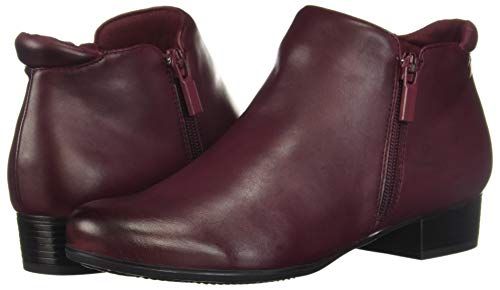Image of Trotters Major
