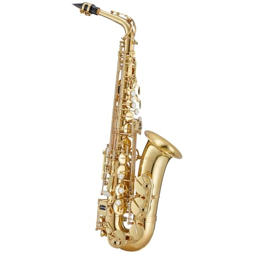 【美品】アンティグア Antigua GL スタンダード アルトサックス Amazon | ANTIGUA WINDS/ALTO SAX GL アンティグア スタンダード