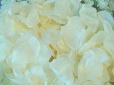 AIEDE Ivory Rose Petals -- 400 Petals/Bag