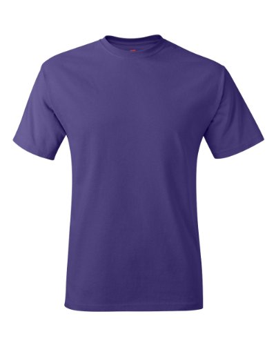 Hanes Men's ComfortBlend EcoSmart Crewneck T-Shirt, Purple, XX-Large