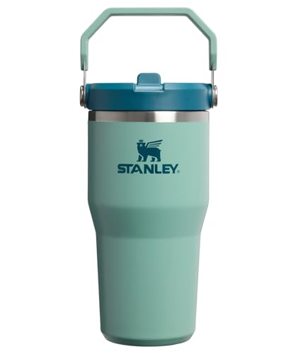 Image of STANLEY IceFlow 2.0 Flip Straw Tumbler with Handle 20 oz | Twist On Lid and Flip Up Straw | Leakproof Water Bottle | Insulated Stainless Steel | BPA-Free | Spring Green
