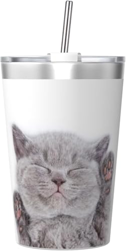 @r 킢 L ^u[ 350ml XeX WƃXg[t ^fMRȂ ^  q ʋ ʊw 킢  v[g