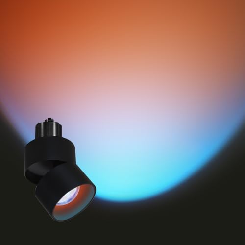 ダクトレール用 サンセットライト 蛍光灯 雰囲気スポットライト LED一体型 電球内蔵 led スポットライト取付簡単 角度調節可能 撮影道具 ライティングレール用 寝室 部屋飾り (ブラック-夜明け(水柿色), 1個)