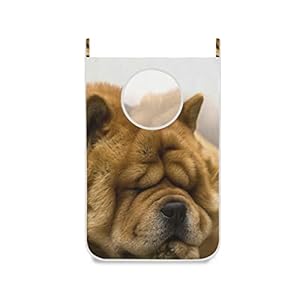 AAJJINA Deur Opknoping Wasmand Chow Chow Vuile Kleding Tas Stof Waszak Met Roestvrij Stalen Haken,Set van 2