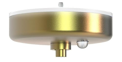 Image of SkyX SkyPlug Smart Plug & Play Lighting Base - Carina-Weathered Brass Finish