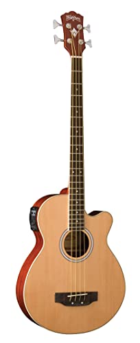 Amazon.com: Washburn AB5K-A 5-String Acoustic Guitar