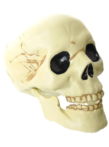 Tête de mort en plastique amscan pour customiser un déguisement effrayant