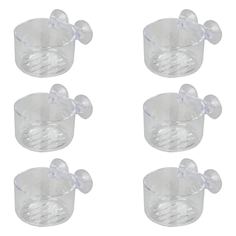 6 Pieces Tank Feeding Bowls Fish Acrylic Transparent Red Worm Feeder Fish Tank Feeding Ring for Aquarium and Home Cover