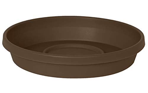 Bloem Terra Plant Saucer Tray for Planters 6-8