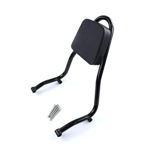 Coussin arrière pour R 18 Classic en finition premium durable