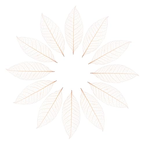 50 hojas esqueleto de caucho natural marrón para manualidades