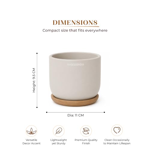 Image of Habere India-All the Cultures Fabricating India Plant Pot with Wooden Plate | Flower Pots for Dining Table & Home Decor | Terracotta Pot for Living Room Decoration (Multi, Dia11 x H9.5 cm)