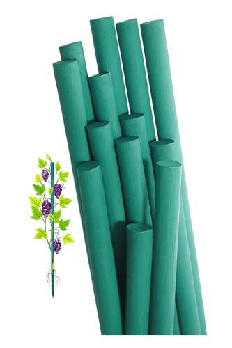Image of BLOOMAX Combo Pack, 23 Pcs Plant Support Sticks, 3 Feet Wooden Garden Stakes - 12 Pcs (10mm) + 11 Pcs (14mm), Strong Hardwood Dowels for Gardening, Climbing Plants, Creepers, DIY & Craft Use