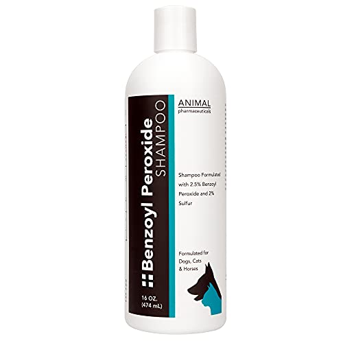 Animal Pharmaceuticals Medicated Benzoyl Peroxide Dog Shampoo â€“ Formulated for Dogs, Cats and Horses â€“ Moisturizing Topical Anti-Seborrhea Formula Treatment Acne and Dandruff - 16 Fluid Ounces