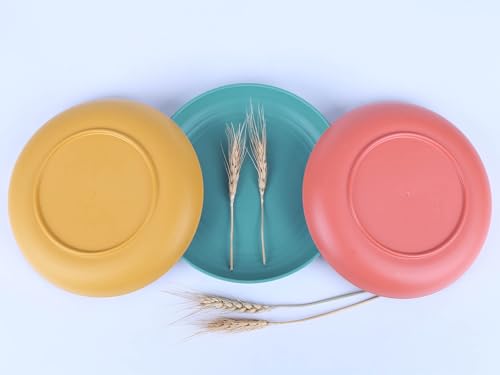 Image of 7.8 Inches Unbreakable Wheat Straw Plates - Reusable Plate Dinner Set - Dishwasher & Microwave Safe - Healthy, BPA Free & Eco-Friendly (7.8 Inches /6 Color H)