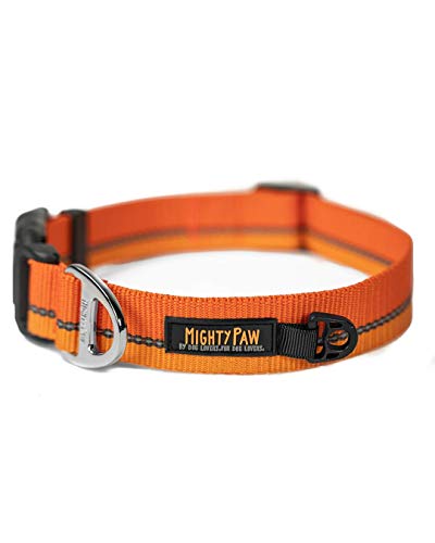 Mighty Paw Reflektierendes Hundehalsband, hohe Sichtbarkeit, mit reflektierenden Nähten, wetterfest, robuste Hardware, stilvolle Farben und Design Perfekt für kleine und große Haustiere (Orange) Cover