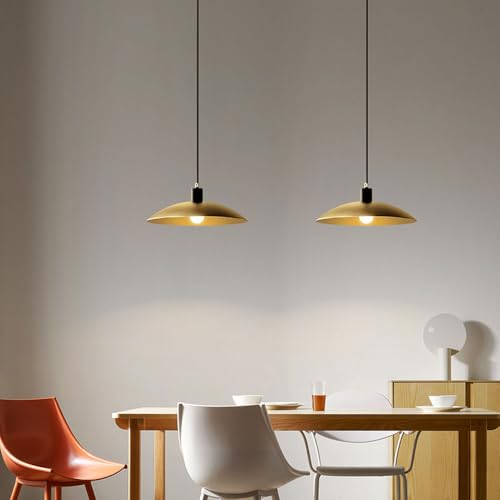 Lámpara colgante de cocina tipo cúpula pequeña e industrial 3
