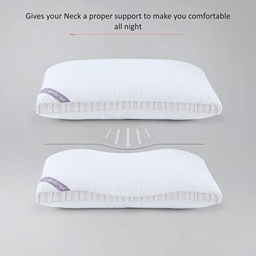 Spread Spain Microfiber Mushy Pillow for Sleeping & Neck Pain Relief Suitable for Back Side Sleeper & Stomach Sleeper President Set of 1 (55 x 86 cm White)