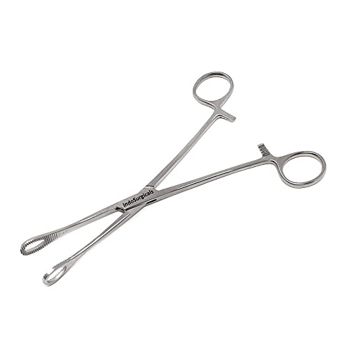 IS IndoSurgicals Sponge Holder/Holding Forceps (8", 1)
