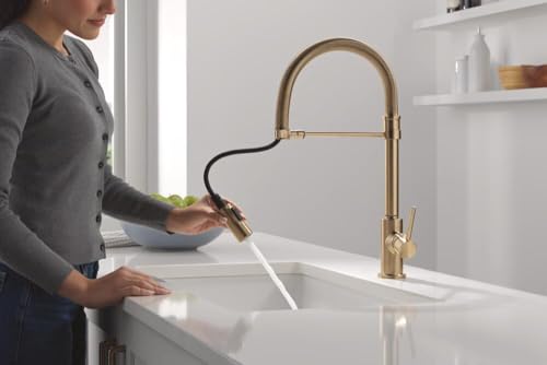 Image of Delta Trinsic Pro Style Commercial Kitchen Faucet with Pull Down Sprayer, Single Hole Brushed Gold Kitchen Sink Faucet, Single Handle, Champagne Bronze 9659-CZ-DST