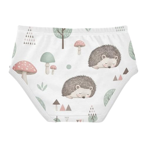 Girl Panties, Cute Hedgehogs Toddler Girl Panties, Cotton Underwear Girls, 2T–8 Years2