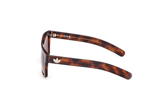 Adidas Originals Sunglasses OR 0127 52E Dark Havana /3