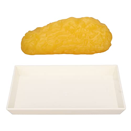 Modelo de grasa de 1 lb para explicar de forma clara la composición corporal 6