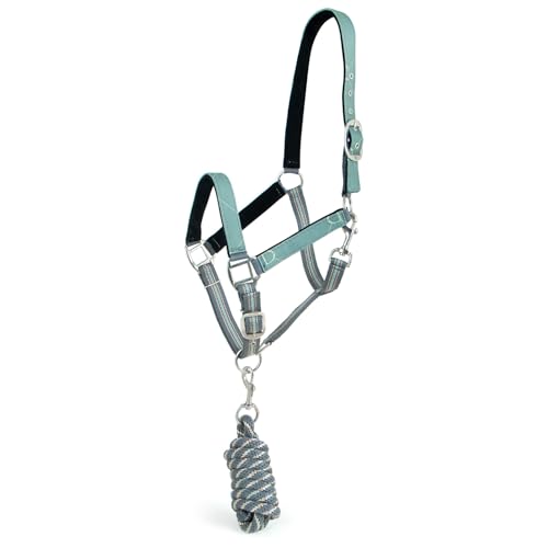 Jeffers Conjunto de cabresto de cavalo com cabeça de álamo e chumbo, ferros de estribo de abeto - De