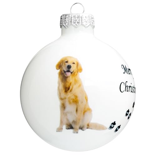 SIKORA Hund Weihnachtskugel aus Glas mit detailreichem Print Motiv besonderer Christbaumschmuck Ornament Figur Hunde Motive, Bedruckte Kugeln:Golden Retriever Kugel (K049)
