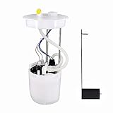 CULMKARI Full Fuel Pump Assembly Fits for 2016-2019 Golf Cart Club Precedent Onward'S & Tempo with EFI Fuel Systems Car Fuel Pump Module Electric Fuel Sending Unit Replace 105043401 05282901 105043401