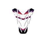 Applicazione: protezione pastiglie moto per Fireblade CBR 250 400 600 900 954 1000 RR 1100XX