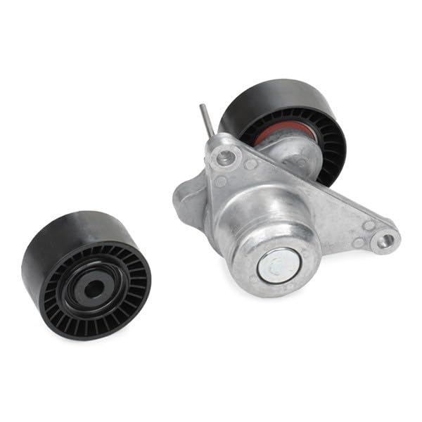 SKF VKMA 36084 Spannrollensatz Für Nebentrieb - Kompatibel Mit Nissan, Renault