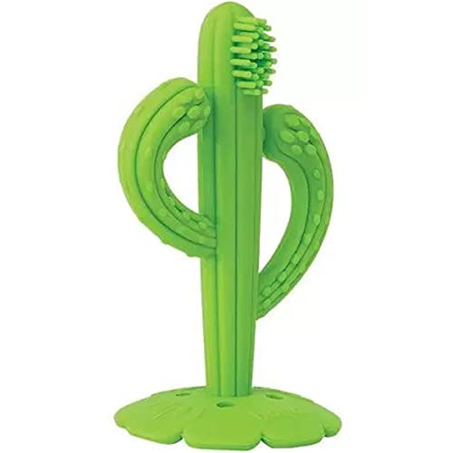 Massageador de Gengiva Bebê Cacto Buba