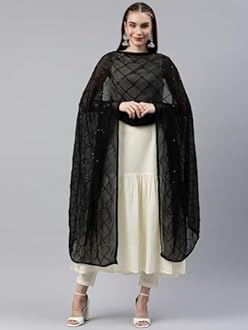 RANI SAAHIBA Women's Chiffon Embroidered Dupatta