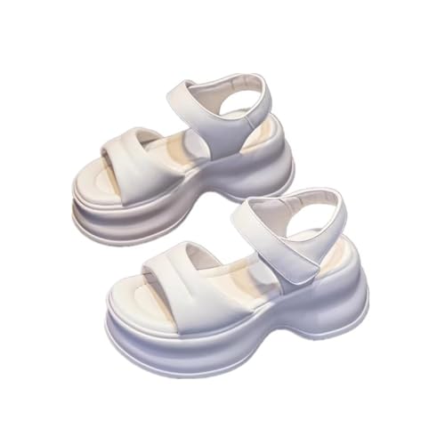 [Msymay] X|[cT_ fB[X T_ X|T T_ Xj[J[ T}[T_  V[Y EFbW\[  t JWA